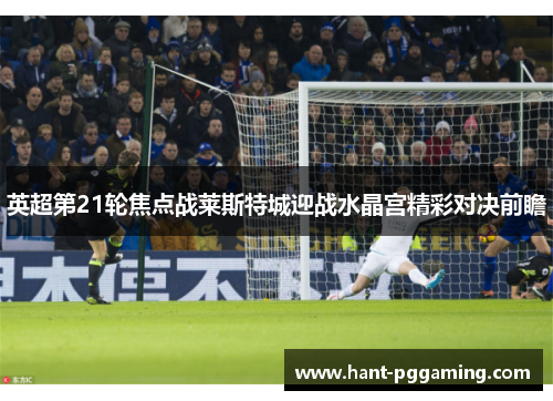 英超第21轮焦点战莱斯特城迎战水晶宫精彩对决前瞻 英超第21轮焦点战莱斯特城迎战水晶宫精彩对决前瞻