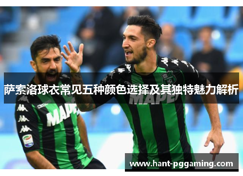 萨索洛球衣常见五种颜色选择及其独特魅力解析 萨索洛球衣常见五种颜色选择及其独特魅力解析