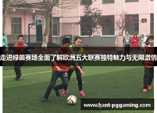 走进绿茵赛场全面了解欧洲五大联赛独特魅力与无限激情