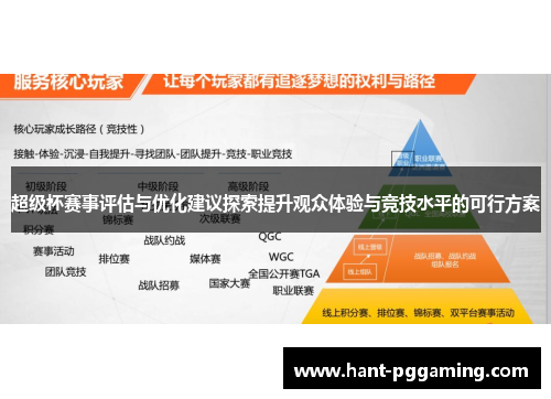 超级杯赛事评估与优化建议探索提升观众体验与竞技水平的可行方案