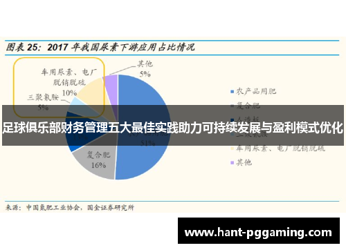 足球俱乐部财务管理五大最佳实践助力可持续发展与盈利模式优化