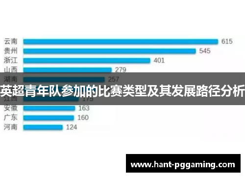 英超青年队参加的比赛类型及其发展路径分析 英超青年队参加的比赛类型及其发展路径分析