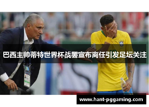 巴西主帅蒂特世界杯战罢宣布离任引发足坛关注 巴西主帅蒂特世界杯战罢宣布离任引发足坛关注
