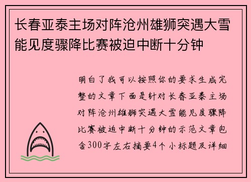 长春亚泰主场对阵沧州雄狮突遇大雪能见度骤降比赛被迫中断十分钟
