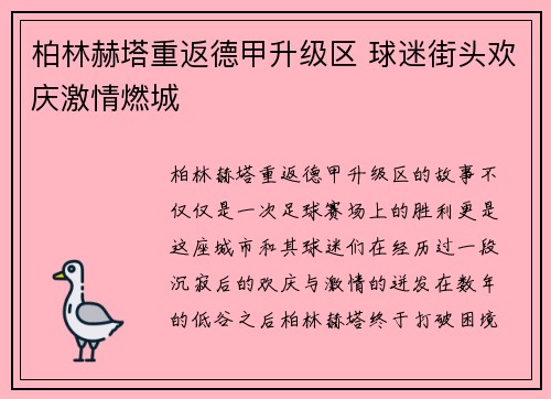 柏林赫塔重返德甲升级区 球迷街头欢庆激情燃城
